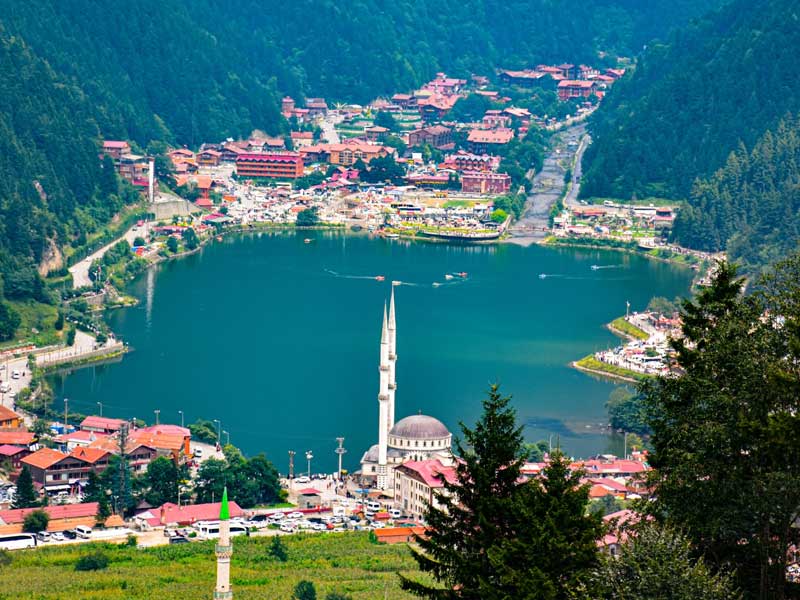 Black Sea Discovery
